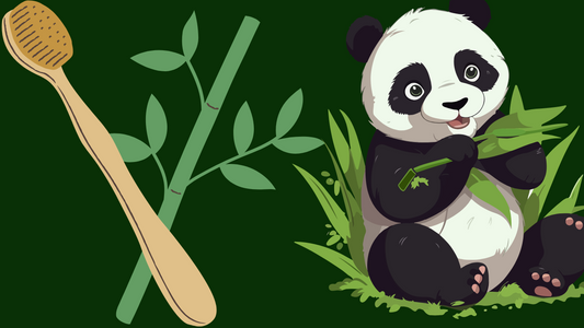 Why Bamboo is the Future of Sustainable Living?