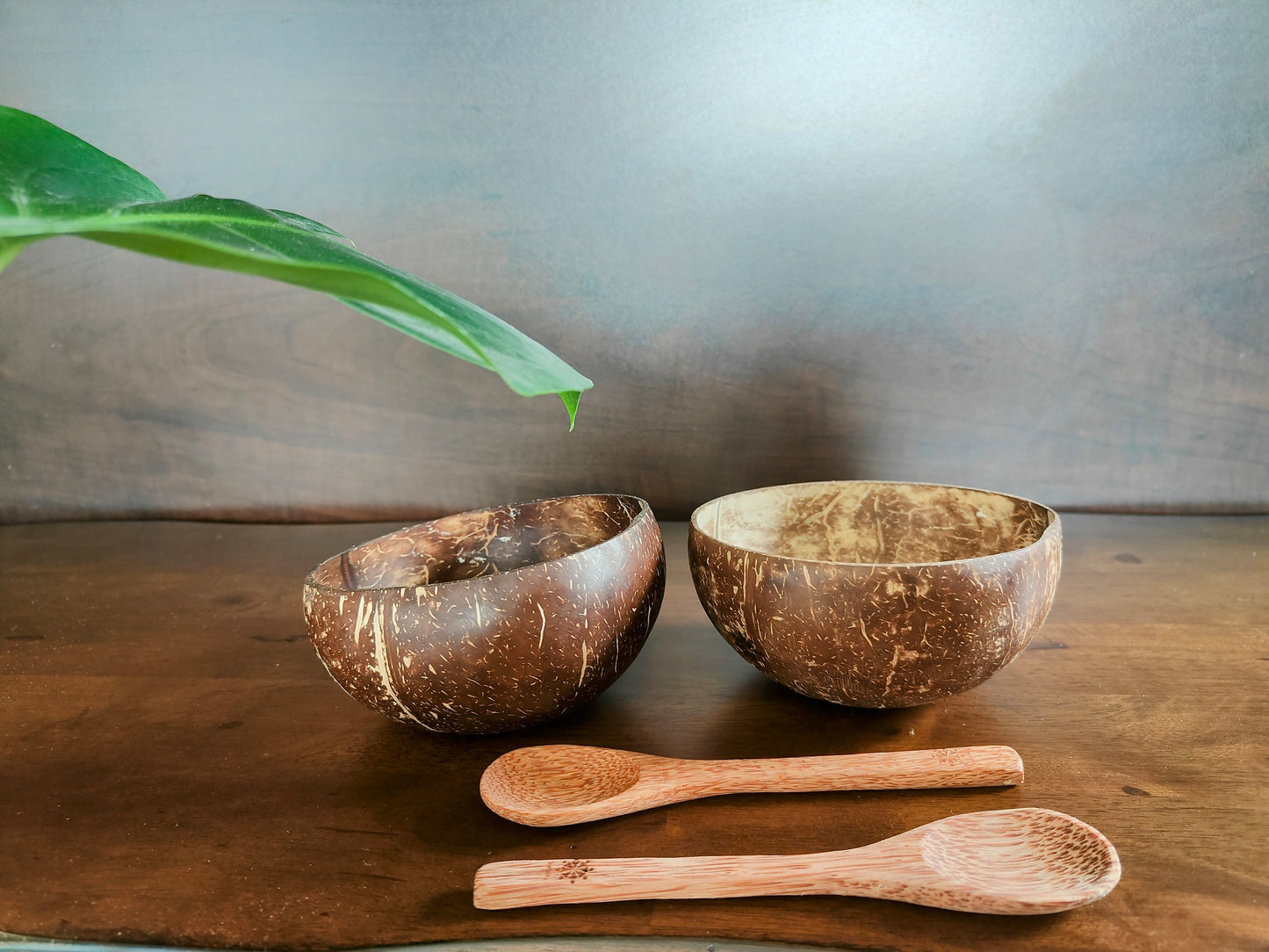Coconut Bowl Duo Set