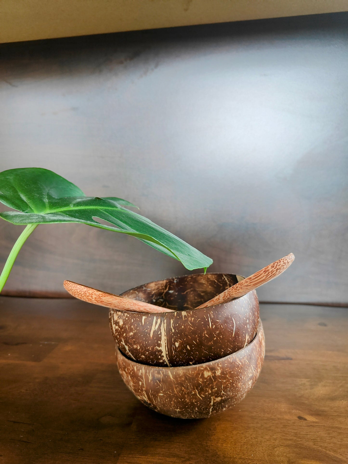 Coconut Bowl Duo Set