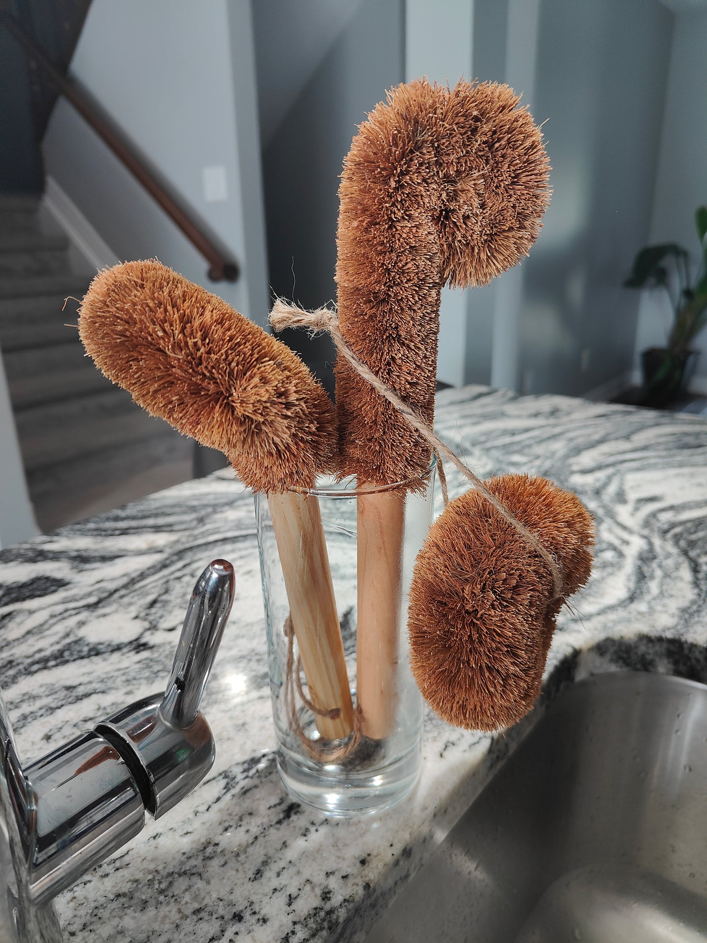 Natural Coconut Coir Brush Set – 3-Piece Eco Cleaning Kit