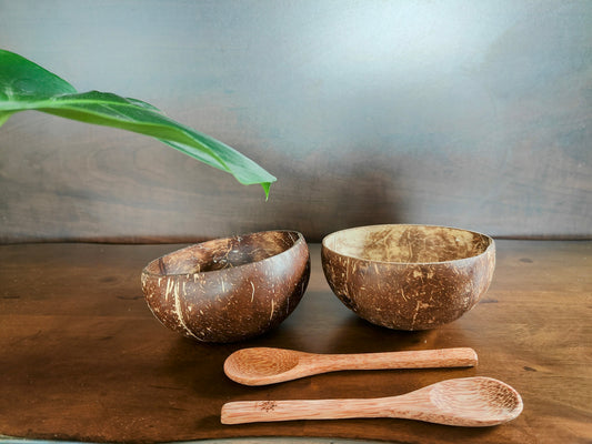 Coconut Bowl Duo Set
