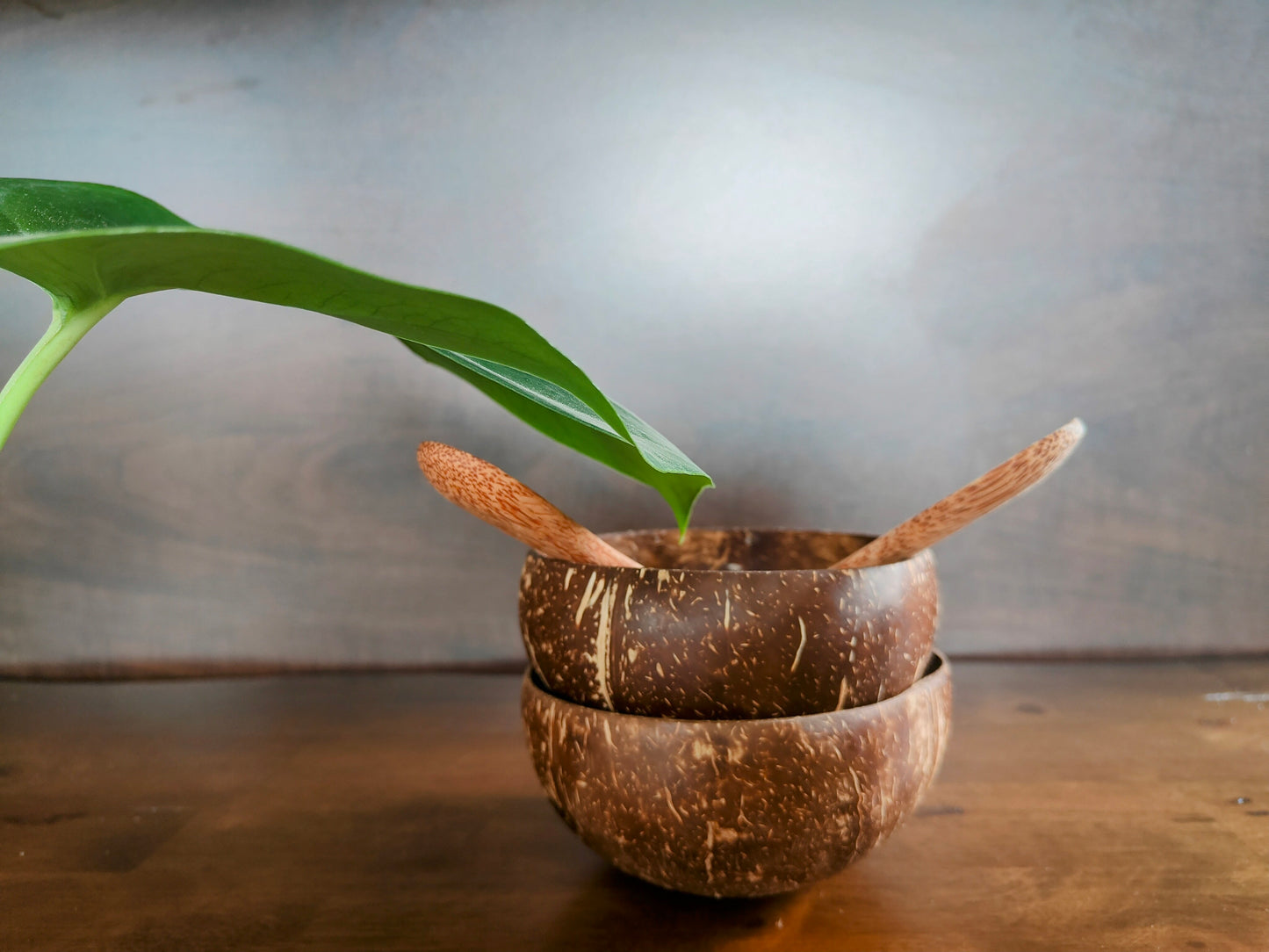 Coconut Bowl Duo Set