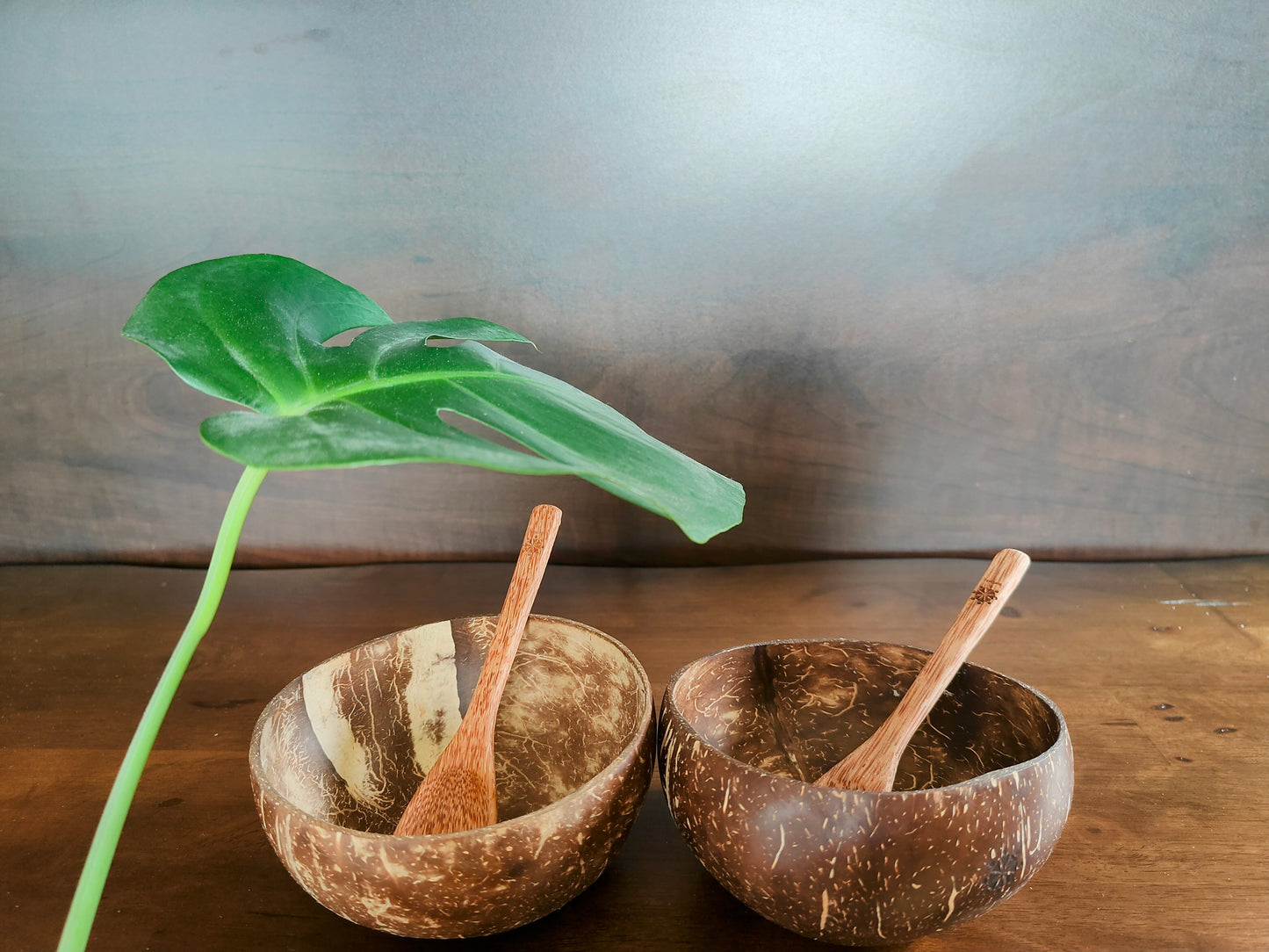 Coconut Bowl Duo Set