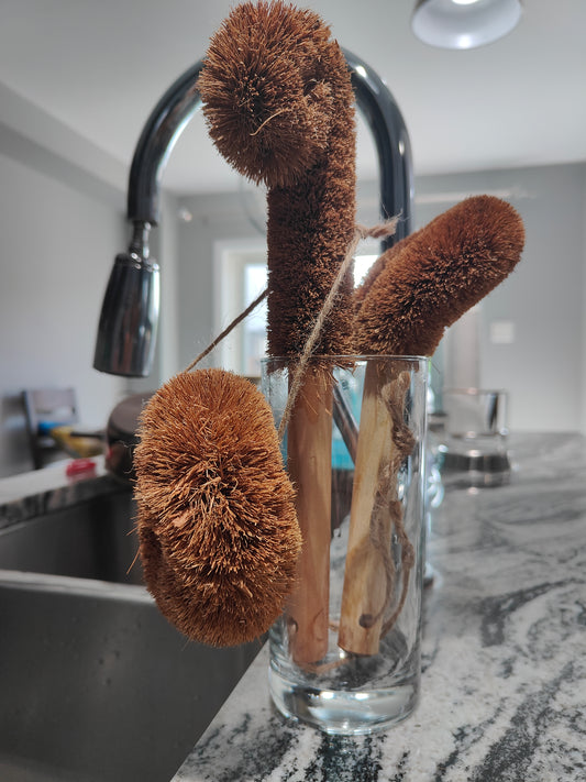 Natural Coconut Coir Brush Set – 3-Piece Eco Cleaning Kit